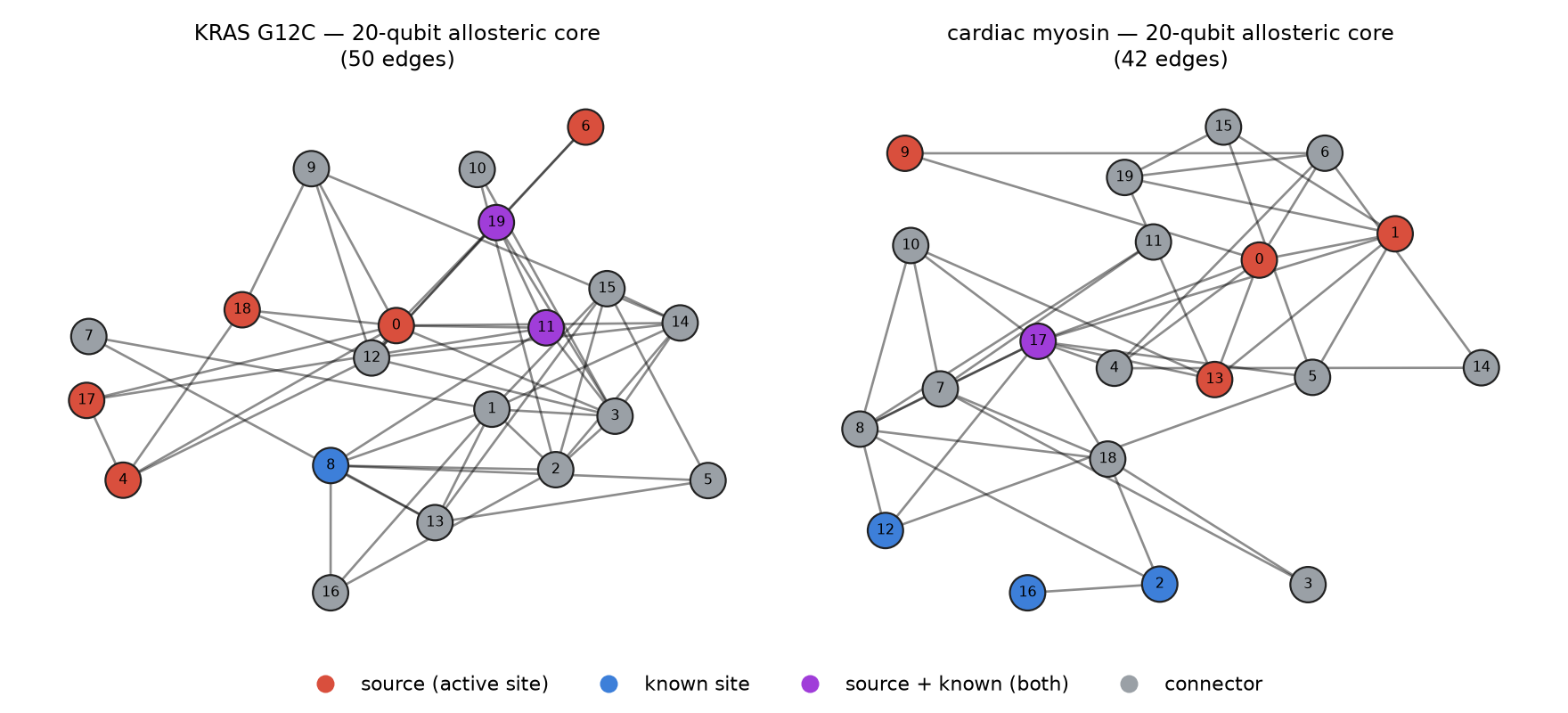 The KRAS G12C and cardiac myosin 20-qubit coupling graphs, nodes colored by biological role
